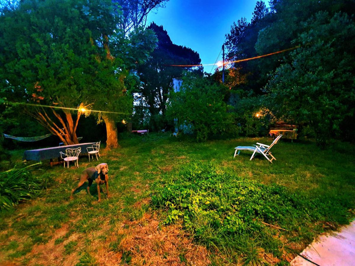 סרזאנה Villa De Benedetti מראה חיצוני תמונה