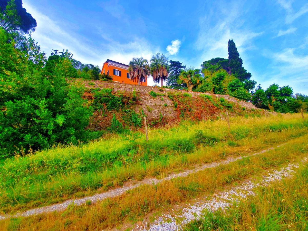 סרזאנה Villa De Benedetti מראה חיצוני תמונה